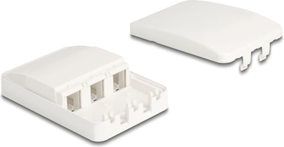 Picture of Delock Keystone Surface Mounted Box 3 Port closed