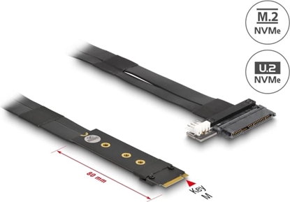 Picture of Delock M.2 Key M to U.2 SFF-8639 NVMe Adapter with 20 cm cable