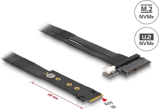 Picture of Delock M.2 Key M to U.2 SFF-8639 NVMe Adapter with 20 cm cable