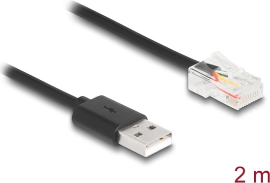 Picture of Delock UPS Communication Cable USB 2.0 Type-A to USB RJ50 2 m
