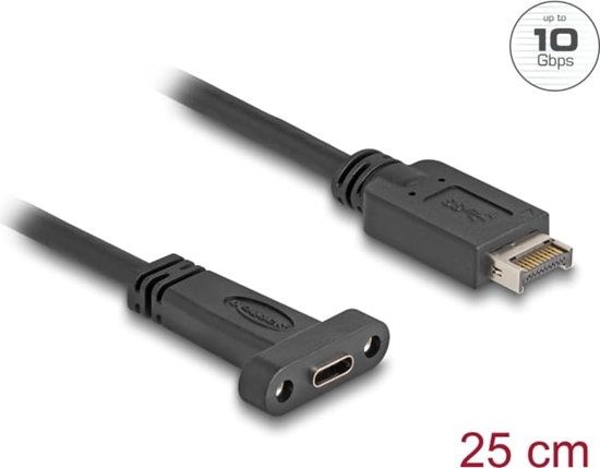 Picture of Delock USB 10 Gbps Cable USB Type-E Key A 20 pin male to USB Type-C™ female panel-mount 25 cm