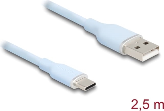 Picture of Delock USB 2.0 Cable USB Type-A male to USB Type-C™ male 2.5 m blue Silicone