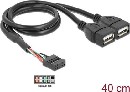 Picture of Delock USB Cable Pin header female > 2 x USB 2.0 type-A female 40 cm
