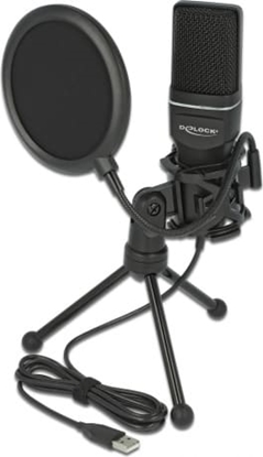 Изображение Delock USB Condenser Microphone Set - for Podcasting, Gaming and Vocals