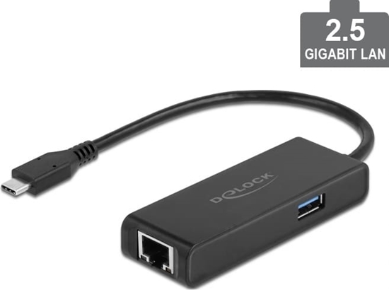 Picture of Delock USB Type-C™ Adapter to 2.5 Gigabit LAN with USB Type-A female