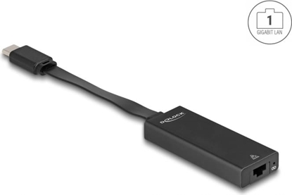 Picture of Delock USB Type-C™ Adapter to Gigabit LAN slim