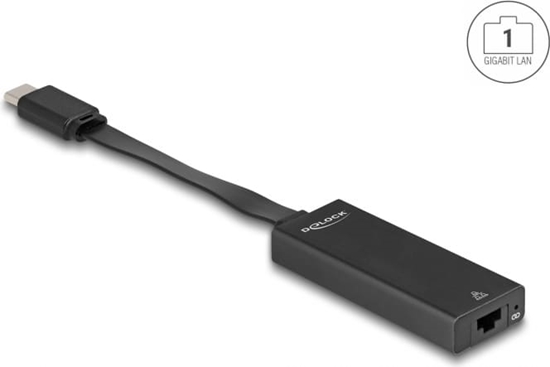 Picture of Delock USB Type-C™ Adapter to Gigabit LAN slim