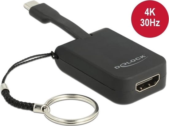 Picture of Delock USB Type-C™ Adapter to HDMI (DP Alt Mode) 4K 30 Hz - Key Chain