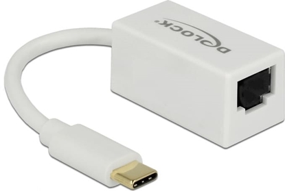 Picture of Delock USB Type-C™ Network Adapter Gigabit LAN 1 x RJ45 compact white