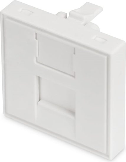 Picture of Digitus 45x45 mm Face Plate for Trunking