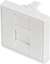 Attēls no Digitus 45x45 mm Face Plate for Trunking