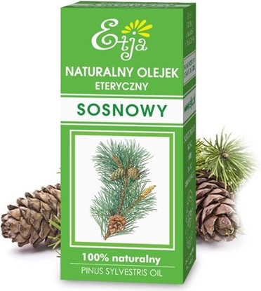 Изображение Etja Olejek Eteryczny Sosnowy, 10ml