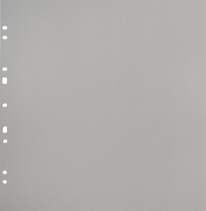 Picture of Focus Carton Refillsheets for Ringbinder Gigant Grey 10-pack