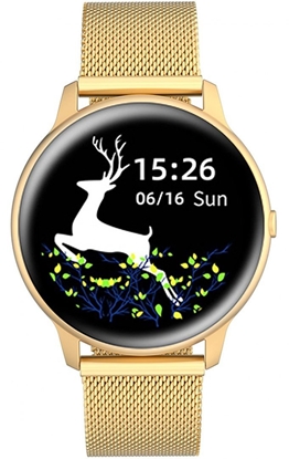 Изображение G.Rossi SW015-5 Women's watch