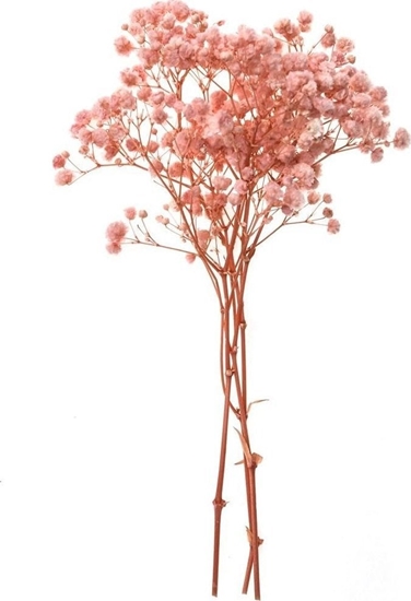 Picture of Gipsówka 4 gazki ok. 20cm light pink