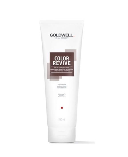 Picture of Goldwell Dualsenses Color Revive Shampoo Cool Brown 250ml