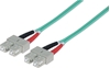 Изображение Intellinet 751025 InfiniBand un optiskās šķiedras kabelis 1 m SC Krāsa "Aqua"