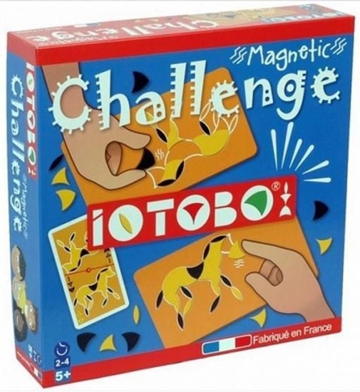 Picture of iOTOBO Zestaw familijiny - magnetyczna mozaika Challenge - 202790