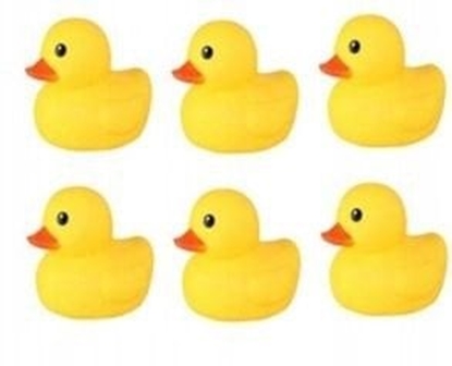 Picture of Kaczka do kpieli 6-pack 508-221A 10271