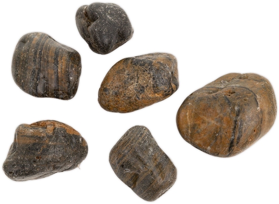 Picture of Kamienie polerowane Tiger Pebble   30-50 mm  do akwarium terrarium 10 kg/OPAK