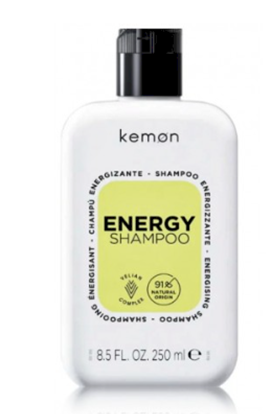 Picture of Kemon Energy Shampoo 250 ml