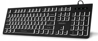 Picture of Klawiatura Evolveo EVOLVEO Klawiatura K1010 Cicha Przewodowa USB Podwietlenie CZ+SK Czarny