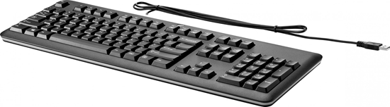 Изображение Klawiatura HP BasisKeyboard (QY776AA#AKD)