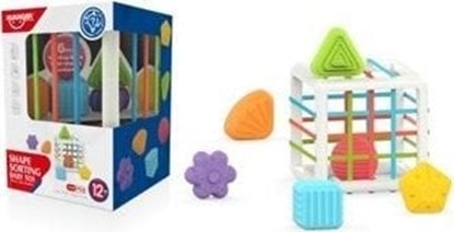 Picture of Klocki i sorter 7szt