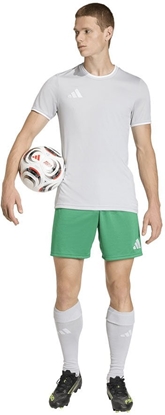 Picture of Koszulka adidas Entrada 26 JSY JZ2511