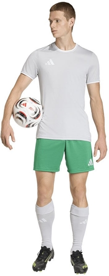 Picture of Koszulka adidas Entrada 26 JSY JZ2511