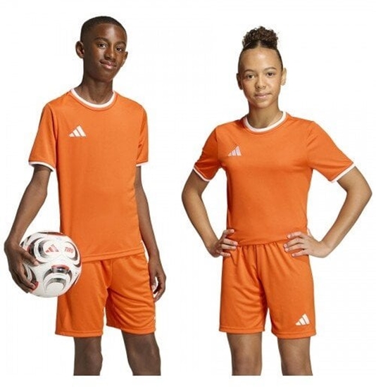 Picture of Koszulka adidas Entrada 26 JSY JZ2526