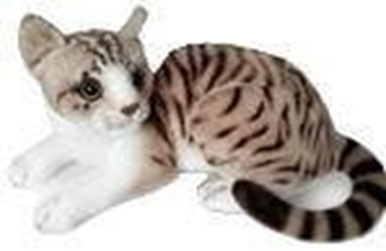 Picture of Kot biao-szary lecy 30cm