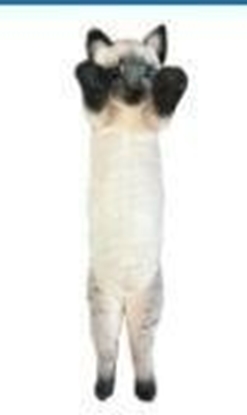 Изображение Kot stojcy syjamski 55cm