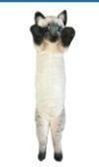 Изображение Kot stojcy syjamski 55cm