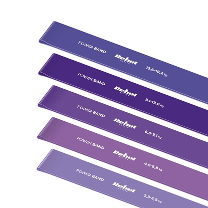 Picture of Lateksa vingrošanas jostu komplekts - Mini Band L, 2.3-18.2 kg, 5 gum, fioletowy,  REBEL ACTIVE