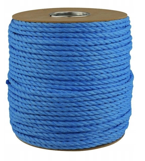 Picture of LINA POLIPROPYLENOWA KRCONA 12mm / 110mb LINOTECH