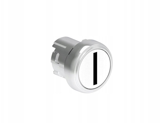 Picture of Metalowy przycisk fi22mm kryty samoczynny powrót z symbolem I Biay LPSB1118