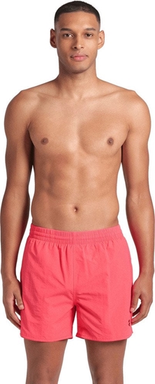 Picture of Mskie Szorty BYWAYX R