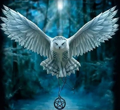 Picture of Norimpex Mozaika diamentowa 5D - Sowa 40x30cm