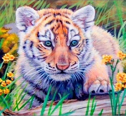 Picture of Norimpex Mozaika diamentowa 5D - Tygrys 40x30cm