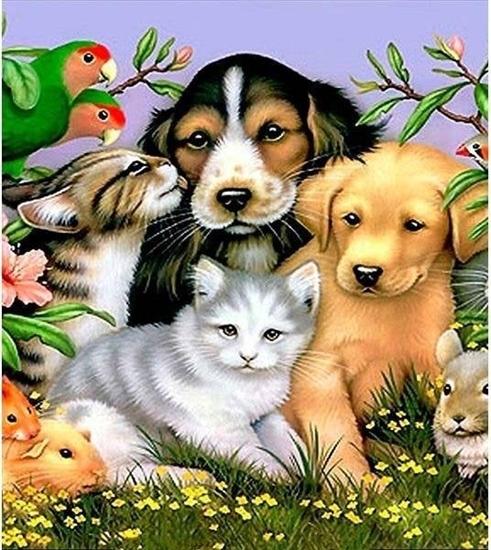 Picture of Norimpex Mozaika diamentowa 5D - Zwierzta 40x30cm