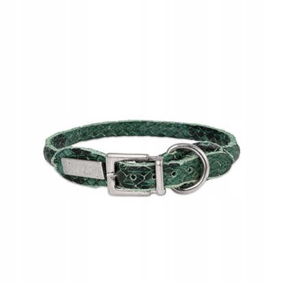 Picture of Obroa dla psa okrga, Serpente, zielona, skórzana nikiel, 8mm/40cm
