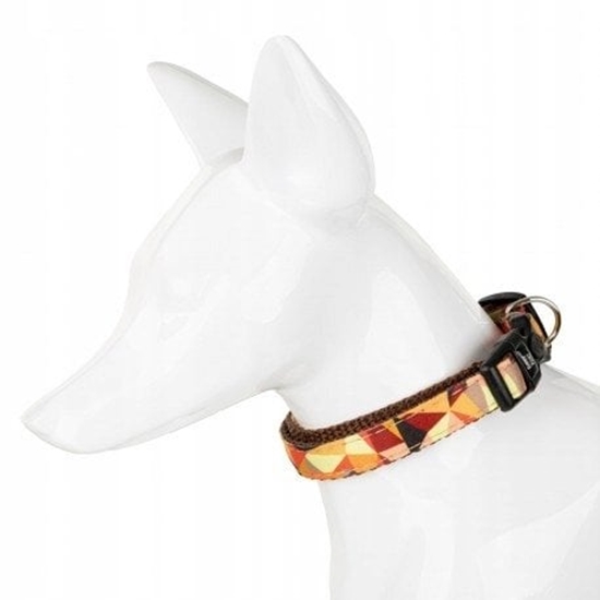 Picture of Obroa dla psa, wzór jesie, tama, 16MM/30-47CM brzowa