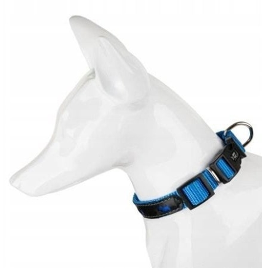 Picture of Obroa dla psa, wzór pieski, odblaskowa plastik 25MM/57CM niebieska