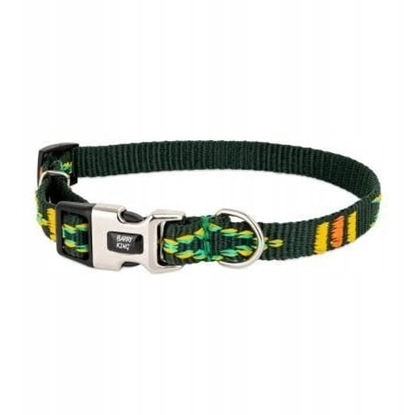 Picture of Obroa dla psa, zielona, wzór etniczny, tama polipropylenowa, 10mm/18-30cm