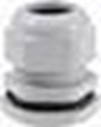 Attēls no Pawbol Dawinca izolowana niepalna PG29 D.3076