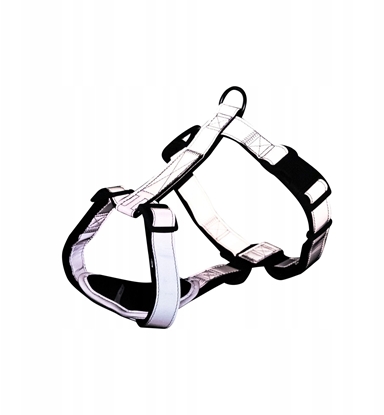 Picture of Premium Reflect, szelki, dla psa, ML: 5575 cm/25 mm, odblaskowe