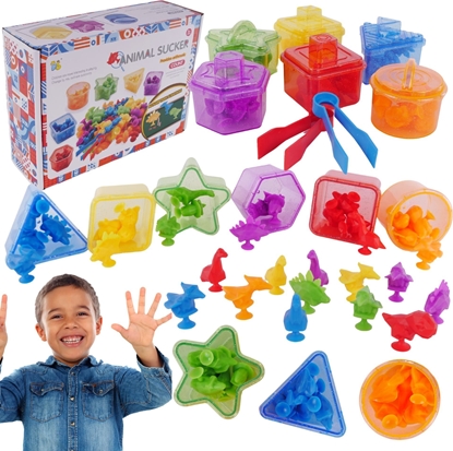 Picture of ProNice Duy Zestaw Edukacyjny Nauka Liczenia Kolorów Gra Montessori Dinozaury