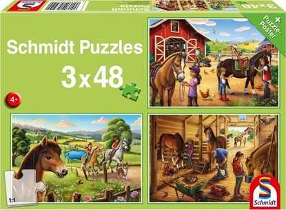 Picture of Puzzle 3x48 Konie G3