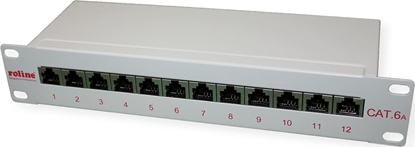Attēls no Roline Cat.6A (Class EA) 10" Patch Panel, 12 Ports, STP, grey